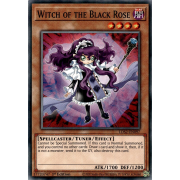 LDS2-EN097 Witch of the Black Rose Commune