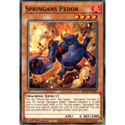 BLVO-EN007 Springans Pedor Commune