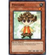 PHSW-EN007 Pinecono Commune