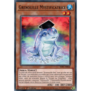 SDFC-FR022 Grenouille Mystificatrice Commune