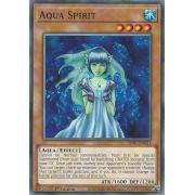 SDFC-EN021 Aqua Spirit Commune