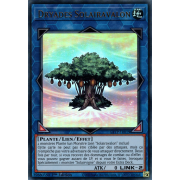 GFTP-FR019 Dryades Solairavalon Ultra Rare