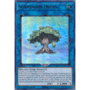 GFTP-EN018 Sunavalon Dryas Ultra Rare