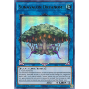 GFTP-EN020 Sunavalon Dryanome Ultra Rare