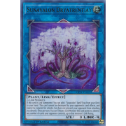 GFTP-EN021 Sunavalon Dryatrentiay Ultra Rare