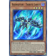 GFTP-EN084 Raidraptor - Tribute Lanius Ultra Rare