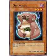 5DS2-EN011 Des Koala Commune