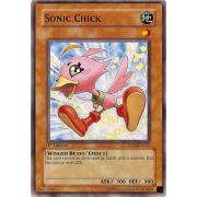 5DS2-EN017 Sonic Chick Commune