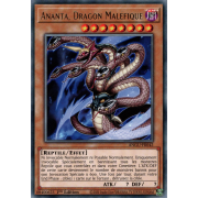 ANGU-FR042 Ananta, Dragon Maléfique Rare