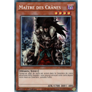 ANGU-FR043 Maître des Crânes Collectors Rare