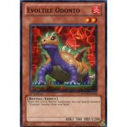 PHSW-EN018 Evoltile Odonto Commune