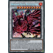 LIOV-FR035 Dragon Rose Rougeâtre Secret Rare