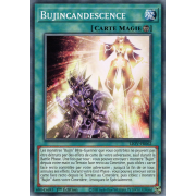 LIOV-FR062 Bujincandescence Commune