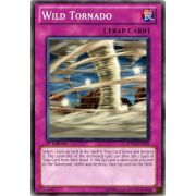 5DS3-EN029 Wild Tornado Commune