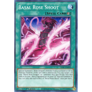 LIOV-EN059 Basal Rose Shoot Commune