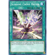 LIOV-EN099 Sunvine Cross Breed Commune