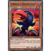 EGS1-FR012 Corbeau à Griffes Caligo Commune