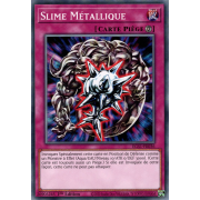 EGS1-FR036 Slime Métallique Commune