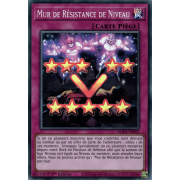 EGO1-FR005 Mur de Résistance de Niveau Super Rare