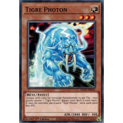 EGO1-FR013 Tigre Photon Commune