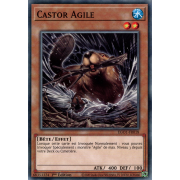 EGO1-FR018 Castor Agile Commune