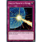 EGO1-FR035 Force de Miroir de la Noyade Commune