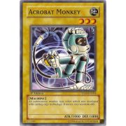 YSDS-EN004 Acrobat Monkey Commune