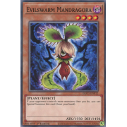 EGO1-EN012 Evilswarm Mandragora Commune