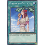 EGO1-EN028 Forbidden Chalice Commune