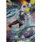 D-SS01/SP25EN Aurora Battle Princess, Seraph Snow Special Parallel (SP)