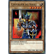 KICO-FR028 Chevalier du Valet Rare