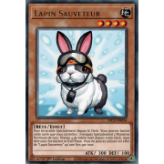 KICO-FR034 Lapin Sauveteur Rare