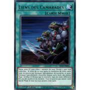 KICO-FR053 Liens des Camarades Rare