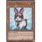 KICO-EN034 Rescue Rabbit Rare