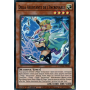 DAMA-FR020 Delia Assistante de l'Incroyable Super Rare