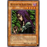 SKE-020 Witch of the Black Forest Commune