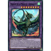 DAMA-FR037 Dragon de la Magiclé - Andrabime Super Rare
