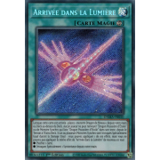 DAMA-FR050 Arrivée dans la Lumière Secret Rare