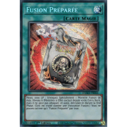 DAMA-FR066 Fusion Préparée Secret Rare