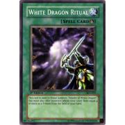 SKE-025 White Dragon Ritual Commune