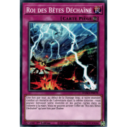 DAMA-FR078 Roi des Bêtes Déchaîné Commune