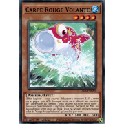 DAMA-FR093 Carpe Rouge Volante Commune