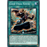 DAMA-FR099 Coup Final Gouki Commune