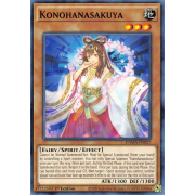 DAMA-EN027 Konohanasakuya Commune