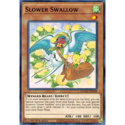 DAMA-EN029 Slower Swallow Commune