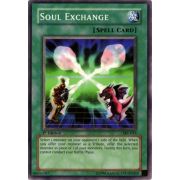 SKE-033 Soul Exchange Commune