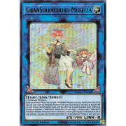 DAMA-EN048 GranSolfachord Musecia Ultra Rare