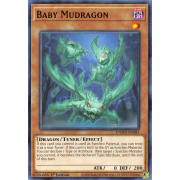 DAMA-EN081 Baby Mudragon Commune