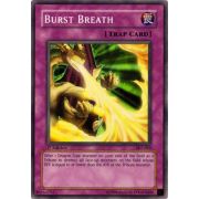 SKE-049 Burst Breath Commune
