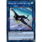 MP21-FR039 Avion de Chasse Bellcat Commune